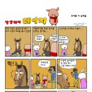 낭만돼지 Daum카페