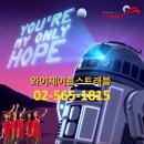 와이제이 여행사 이미지