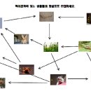 의림어린이집 이미지