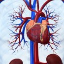 YOUR PT STUDIO 이미지