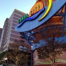 5994 | 후쿠오카 캐널시티 갭 키즈 &amp; 베이비 위치, 40% 할인 득템 후기