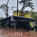 몽산포파인 이미지