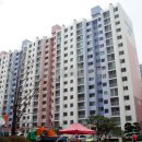 국화한신 이미지