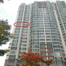 수영-301 이미지