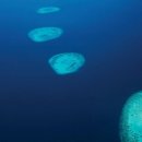 포시즌당구클럽 이미지