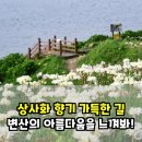 노루목향기 | 변산 마실길 2코스, 상사화길 후기: 솔직한 감동과 아쉬움!