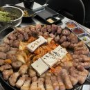카토리본사