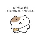 대원칼국수 이미지