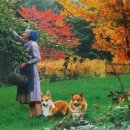 타샤의정원 이미지