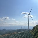 매봉산 바람의언덕 | 강원도 태백 여행 가볼만한곳 매봉산 바람의 언덕 가는법