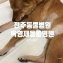 박영재 동물병원 이미지