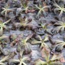 이례농장 이미지