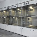 BB 동물병원 이미지