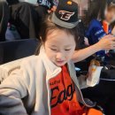 울랄라4층 | 한화이글스 2025 홈피날레 불꽃놀이 직관 후기