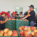 청과물처리장 이미지