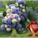 이재선농장 이미지