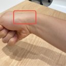 청록한의원 이미지