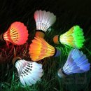 배드민턴(야간) 이미지