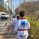 용인대새봄태권도 이미지