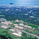 탐라대학교 이미지