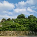 심야포차태권브이 이미지