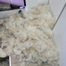 동명일박 이미지