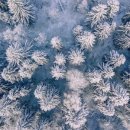 위시 풀빌라펜션 이미지