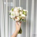 오월N장미 이미지