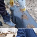 이영우농장 이미지