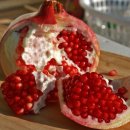 삼성쉐르빌 이미지