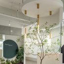 바리스타2급자격증(목)A반,B반 | 25년 2학기 중간고사 영어 성적 우수자 [송린중/새솔고]