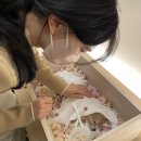 21그램 반려동물장례식장 이미지