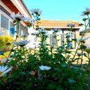 함열경로당 이미지