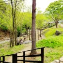 추곡초병설유치원 이미지