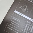 나의 창 | 내돈내산 후기 찾아보다 산 에르고 "벨라핌코어", 직접 사보고 남기는 나의 후기