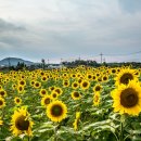 해마농장 이미지