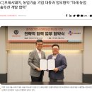 대동식자재유통 이미지