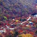내장산 관광안내소 아이뉴스24