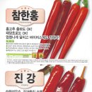 참한홍