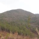 주읍