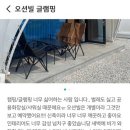 오션빌글램핑 이미지