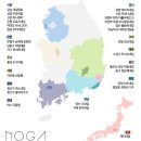 노가네일&속눈썹