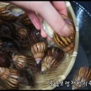 건강제일농장