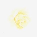 수채화(일요일반) 이미지