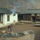 리틀포레스트 이미지