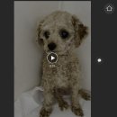 메트로동물병원 이미지