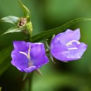 동서림한의원 이미지