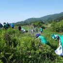 왕숙천변 이미지