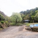 대법사 - 788 | 대법사
