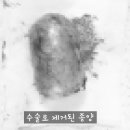 강내동물병원 이미지